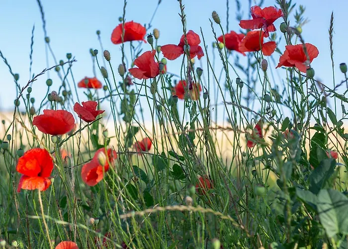 Brakilde Bed & Breakfast *